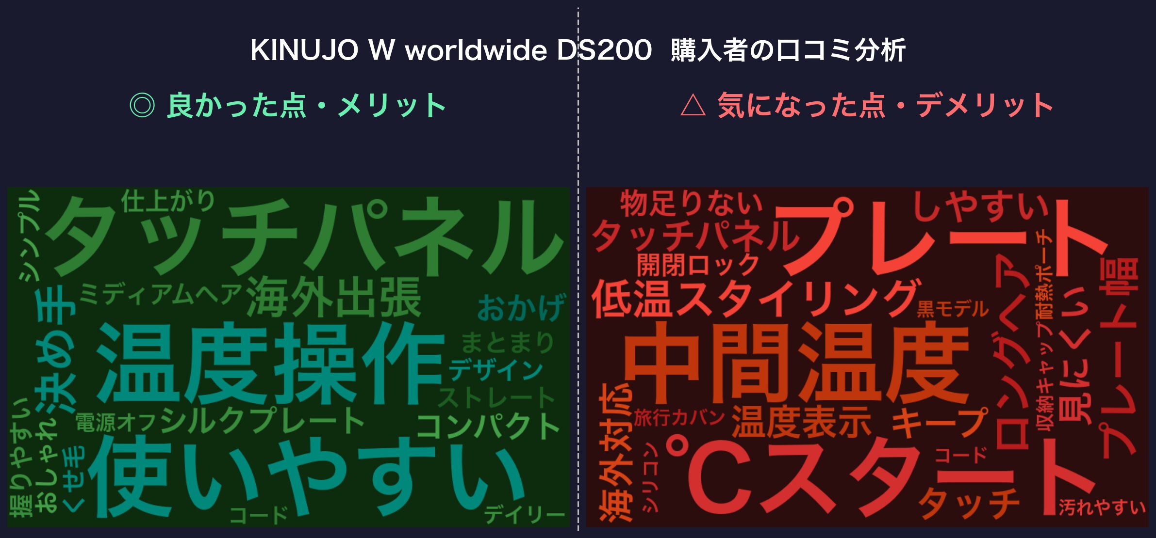 口コミワードクラウド：DS200
