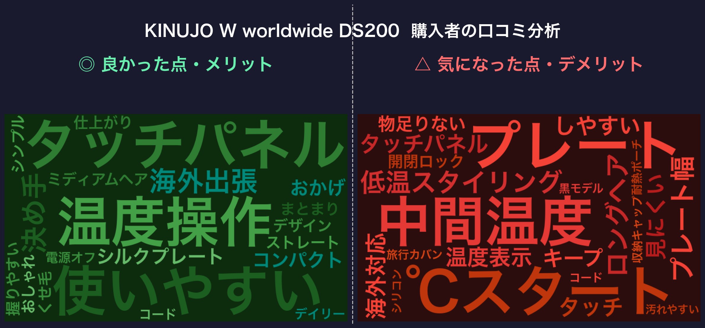 口コミワードクラウド：DS200